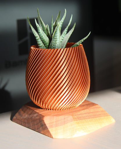 Pot de fleur en 3D avec base en bois / 3D Planter with wooden base