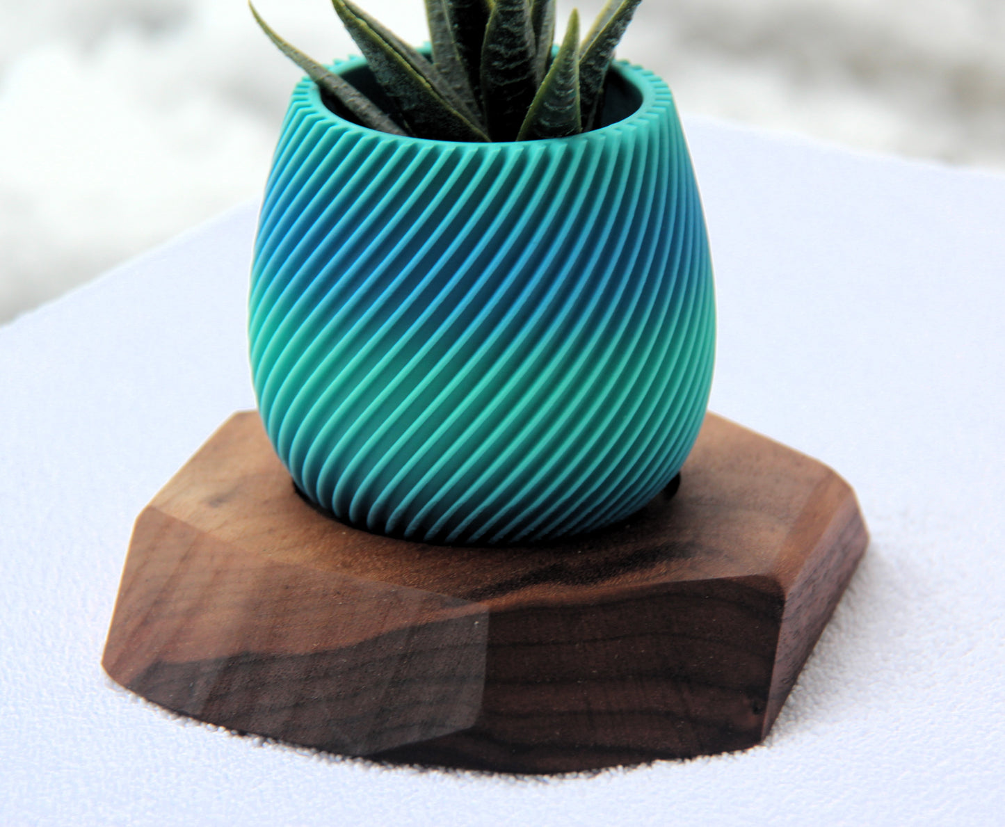 Pot de fleur en 3D avec base en bois / 3D Planter with wooden base