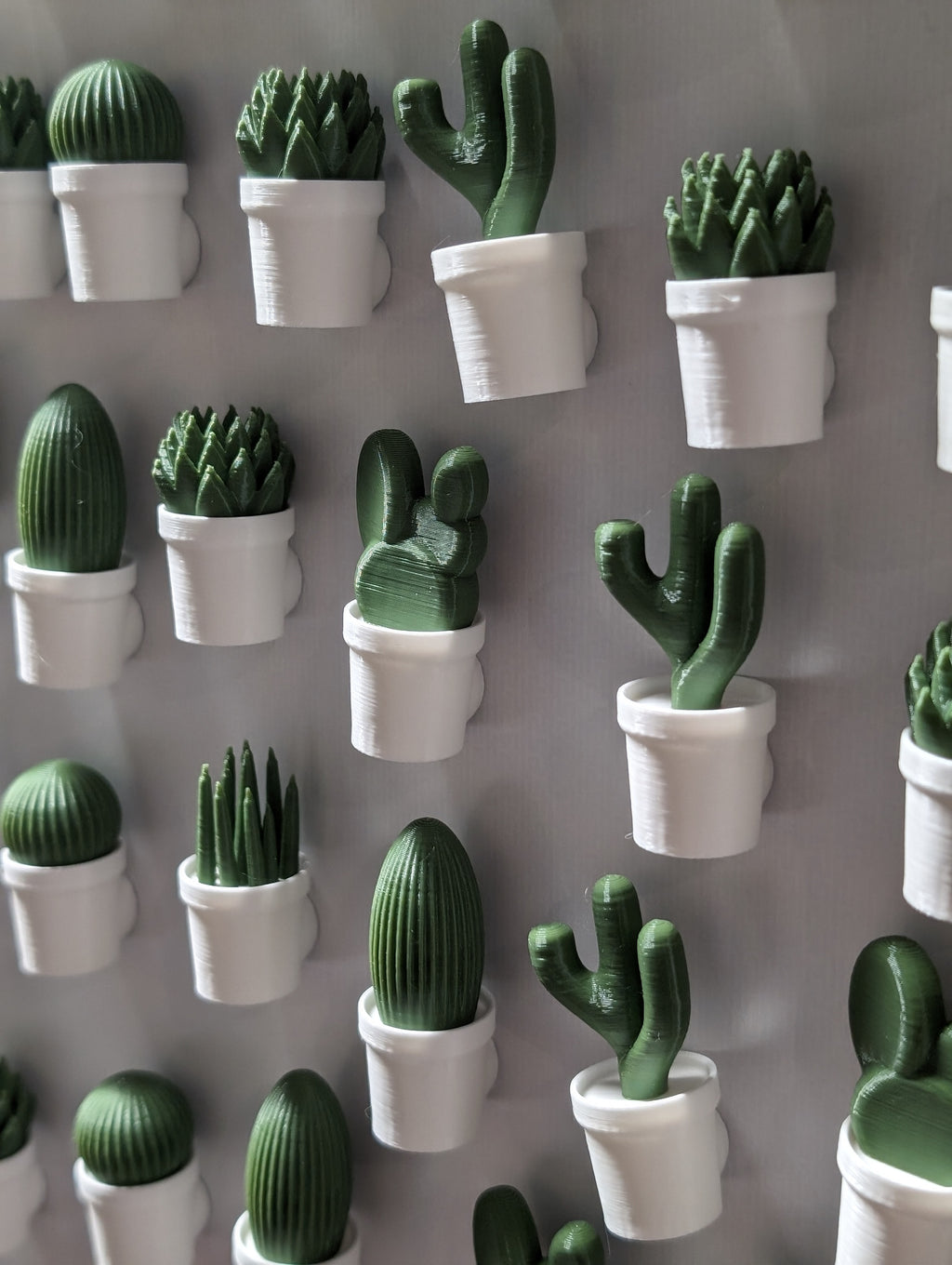Aimants plantes / Plant Magnets