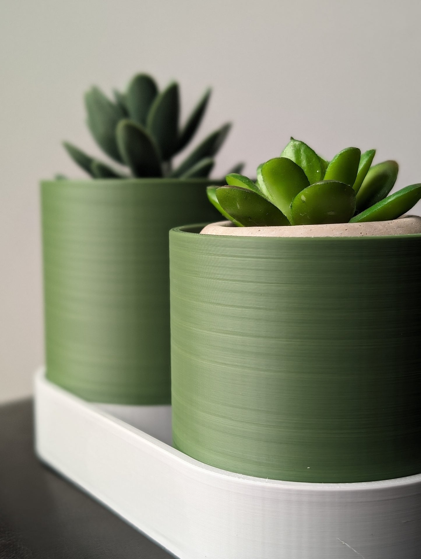 Pot double en 3D pour plantes succulentes / Succulent 3D Double Planter