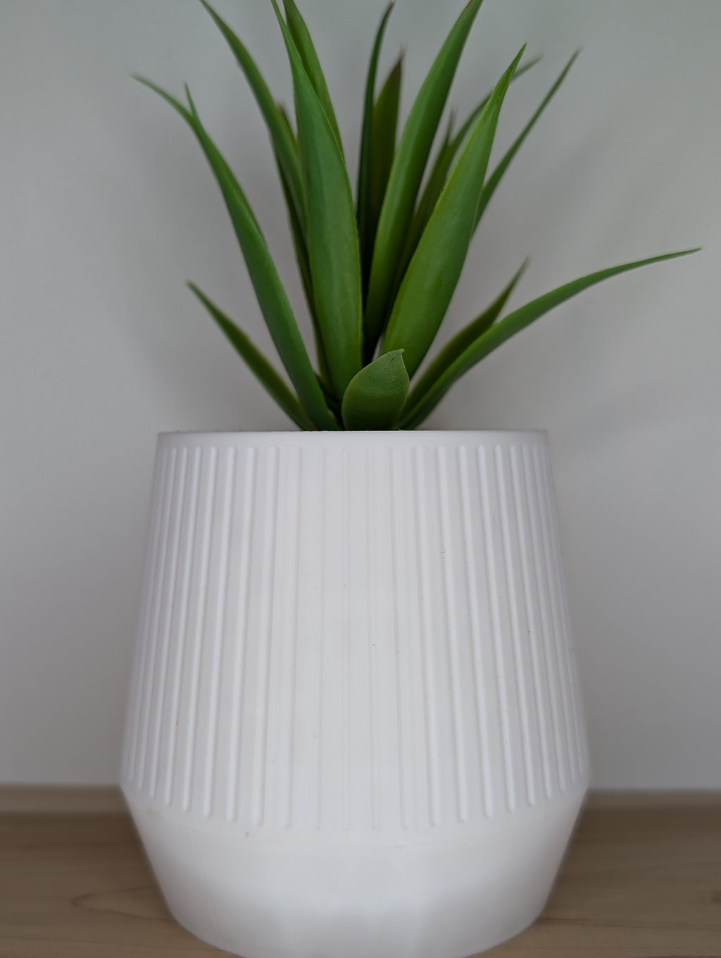 Classy Planter / Pot Classy